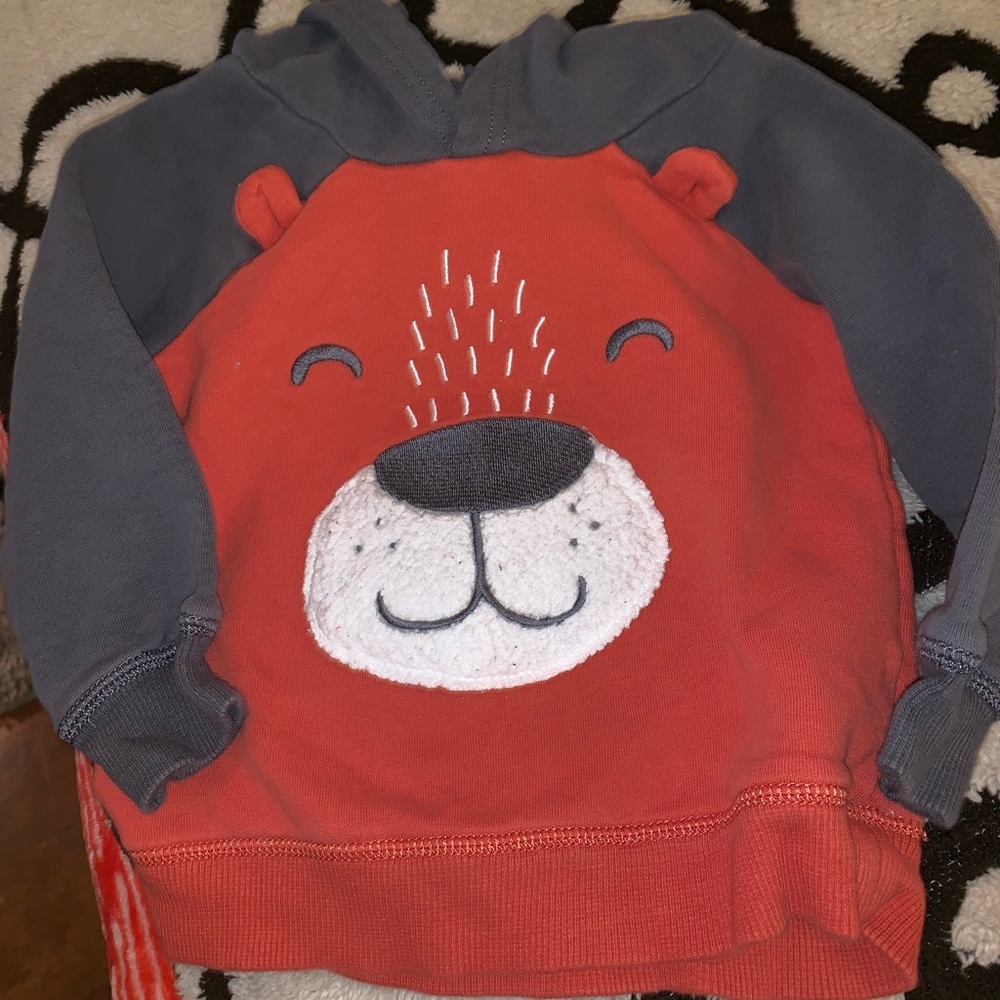 2T hoodie